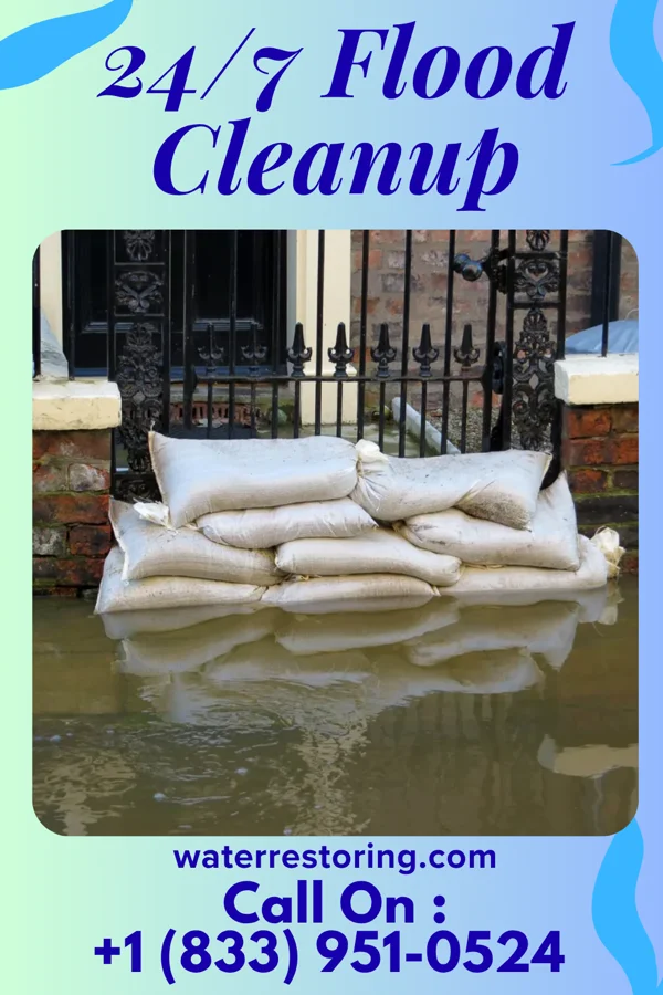24/7 Flood Cleanup in Vienna, IL