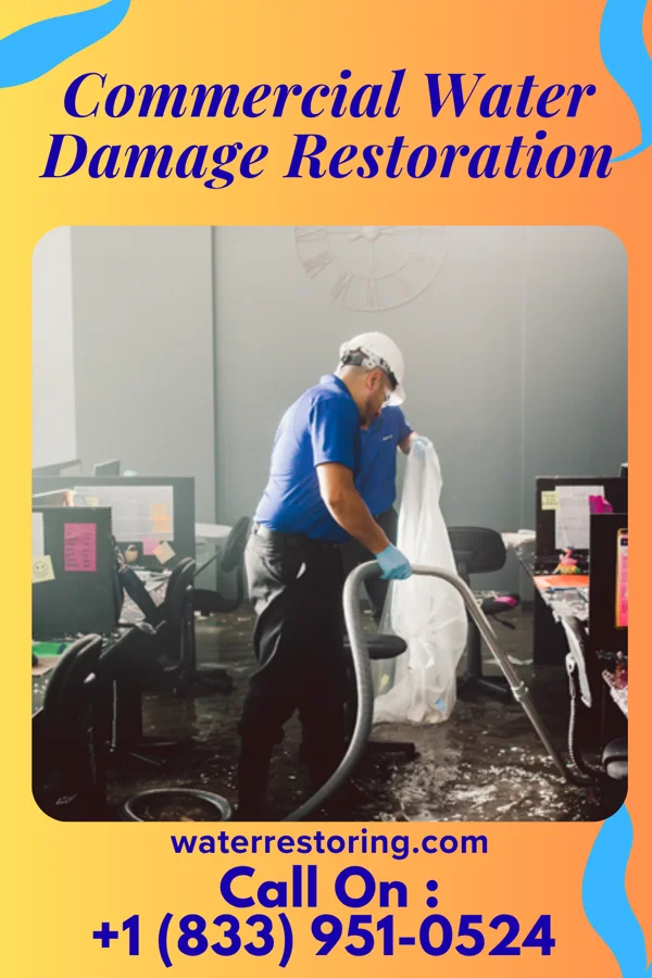 Commercial Water Damage Restoration in Vienna, IL