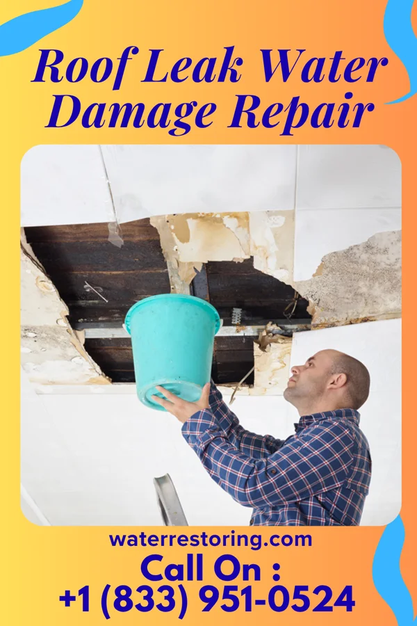 Roof Leak Water Damage Repair in Vienna, IL